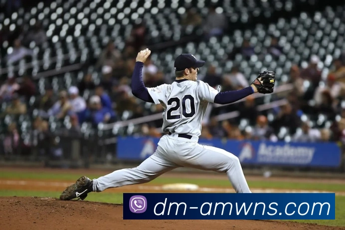 威尼斯人娱乐网站APP 封面图